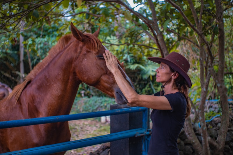 Road trip en Californie